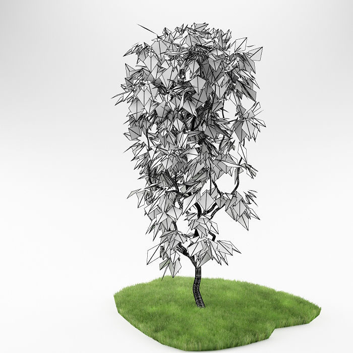 Small tree 01 3D model_4