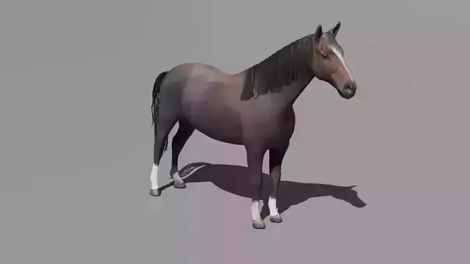 Realistic 3D Horse Model Low-poly 3D model