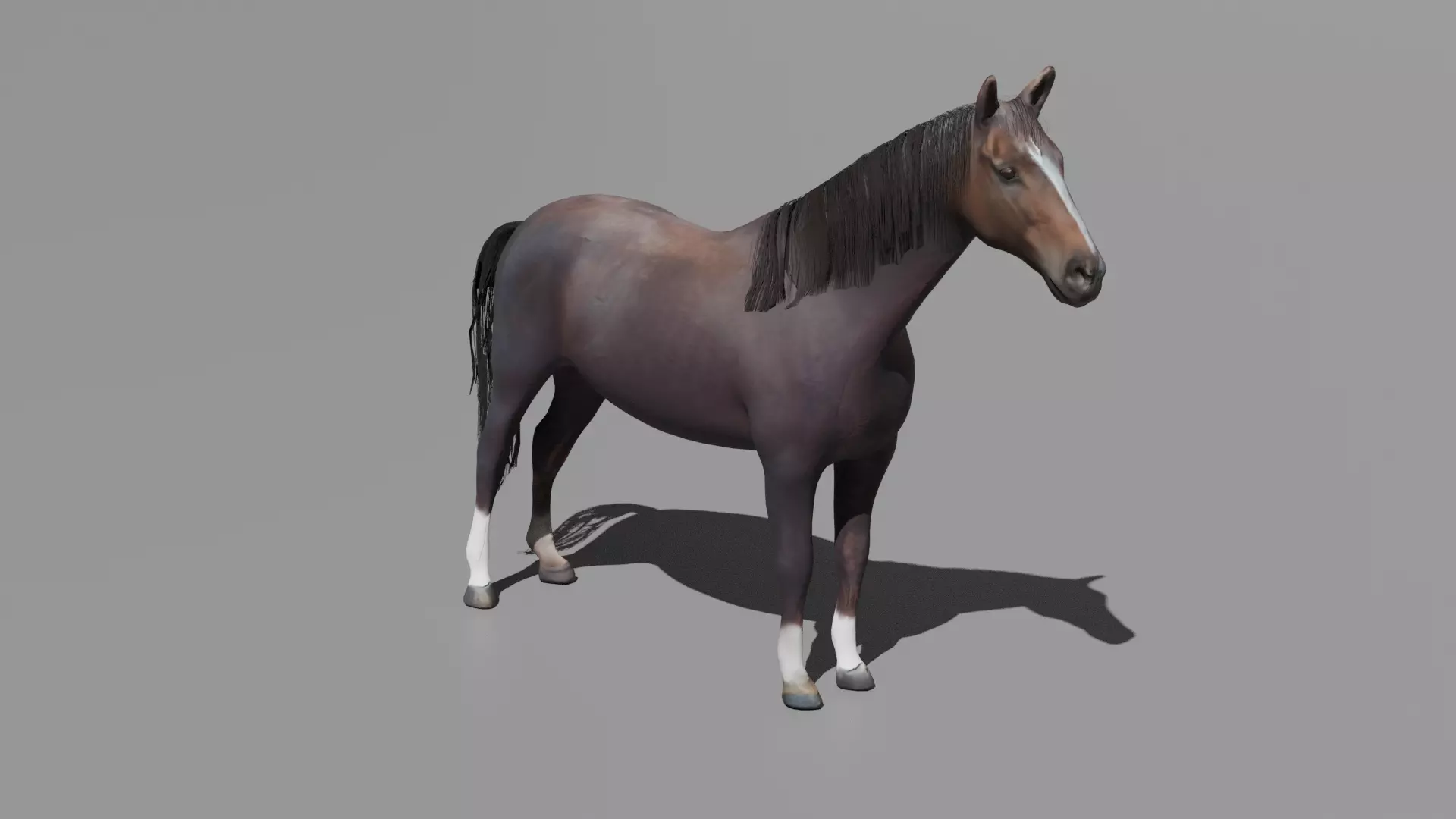 Realistic 3D Horse Model Low-poly 3D model_0