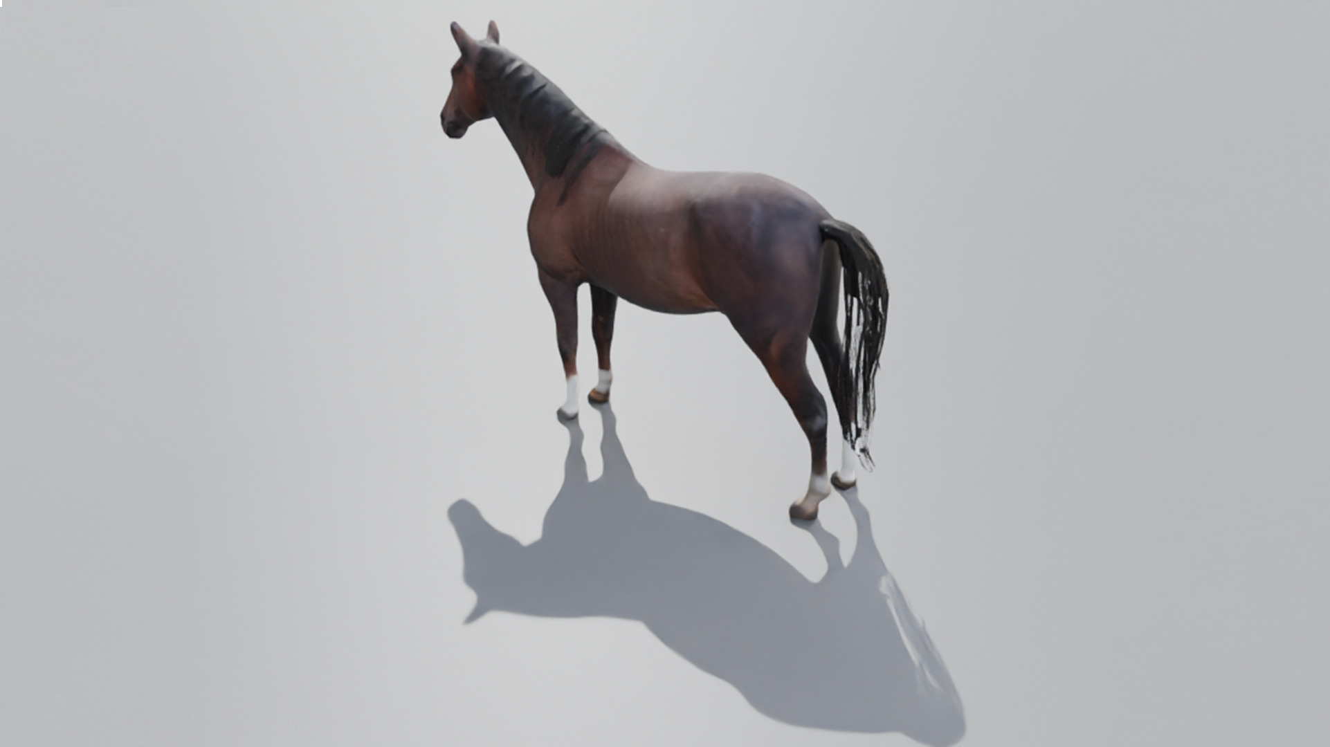 Realistic 3D Horse Model Low-poly 3D model_2