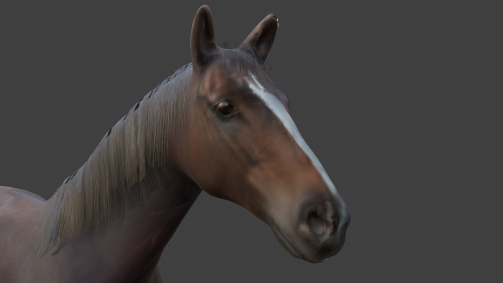 Realistic 3D Horse Model Low-poly 3D model_10