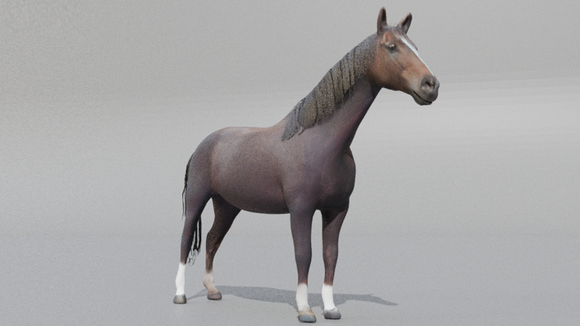 Realistic 3D Horse Model Low-poly 3D model_3