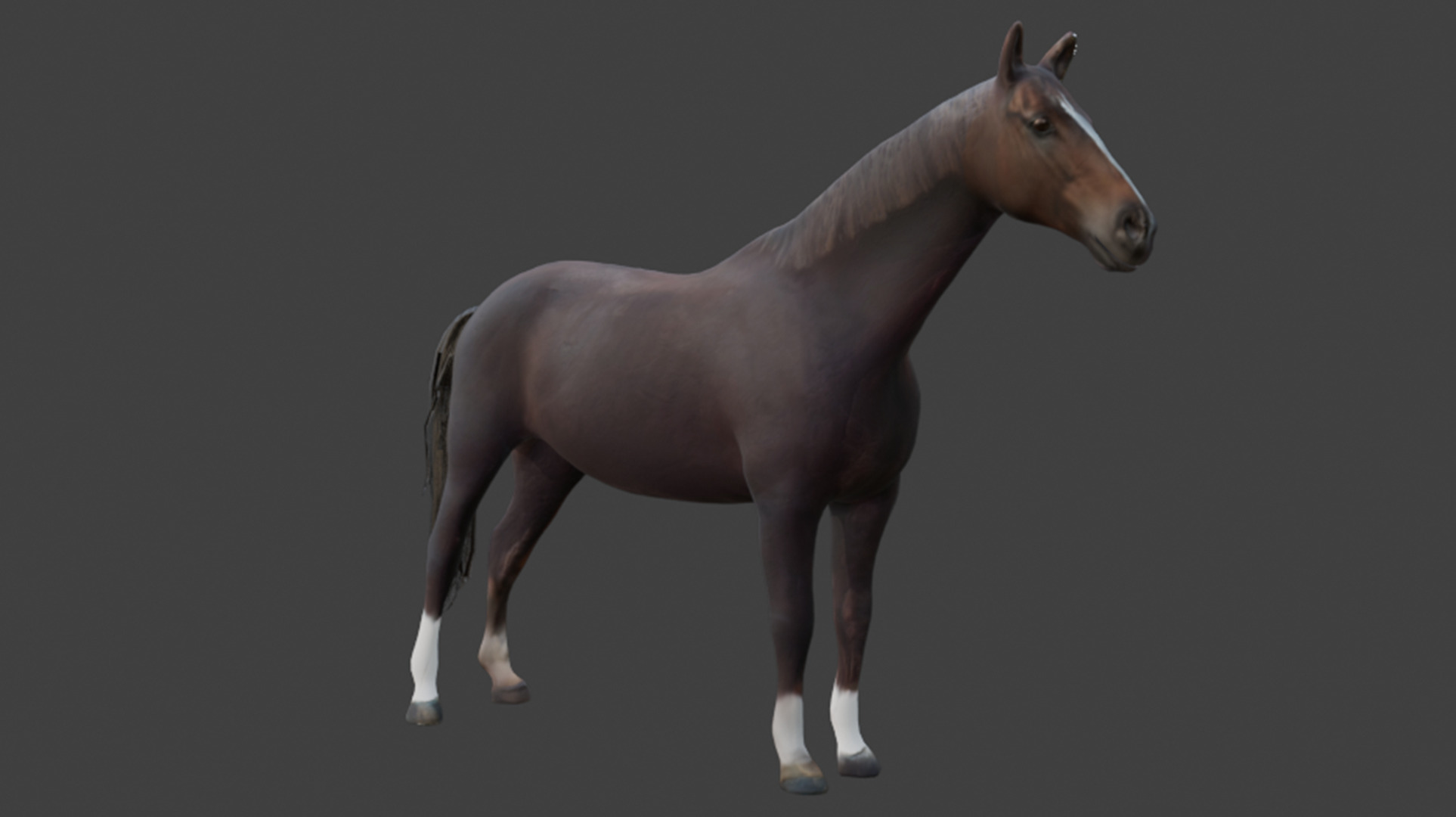 Realistic 3D Horse Model Low-poly 3D model_9