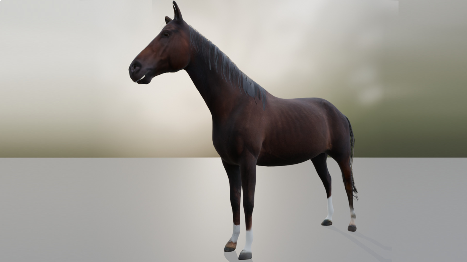 Realistic 3D Horse Model Low-poly 3D model_6