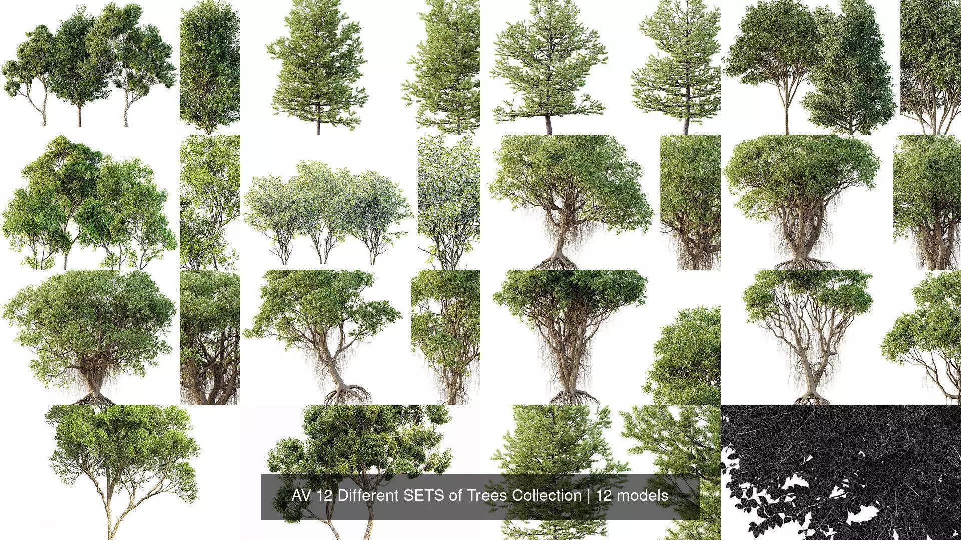 AV 12 Different SETS of Trees Collection _1