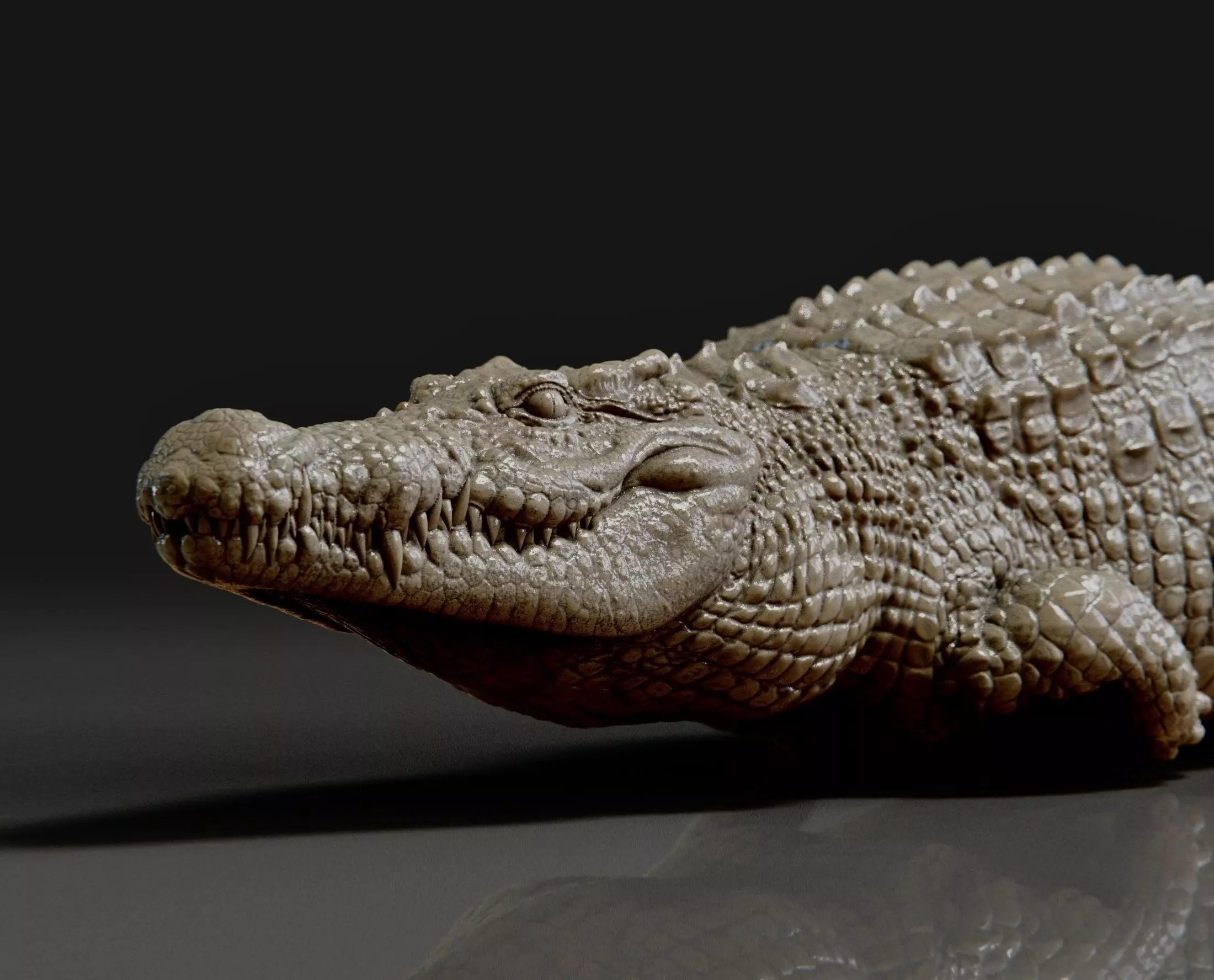 crocodile 3D print model_0