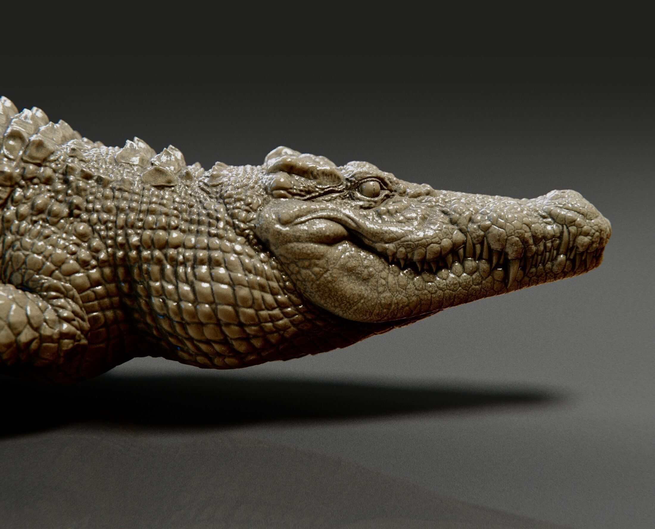 crocodile 3D print model_2