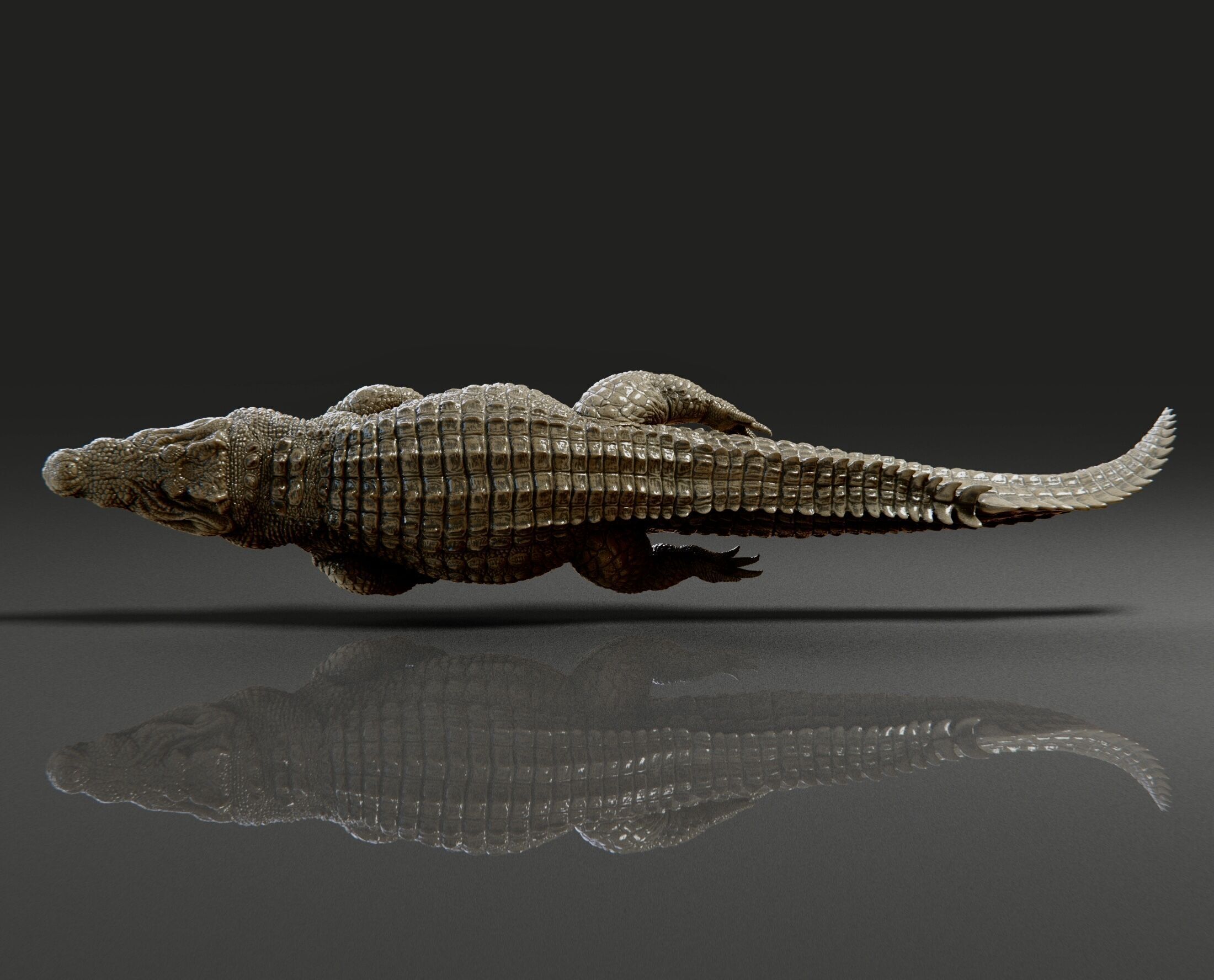 crocodile 3D print model_3