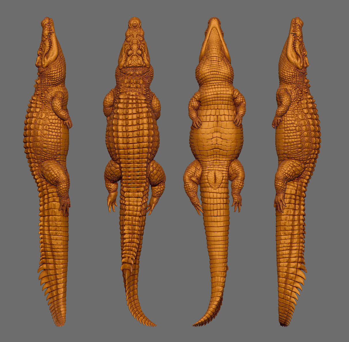 crocodile 3D print model_7