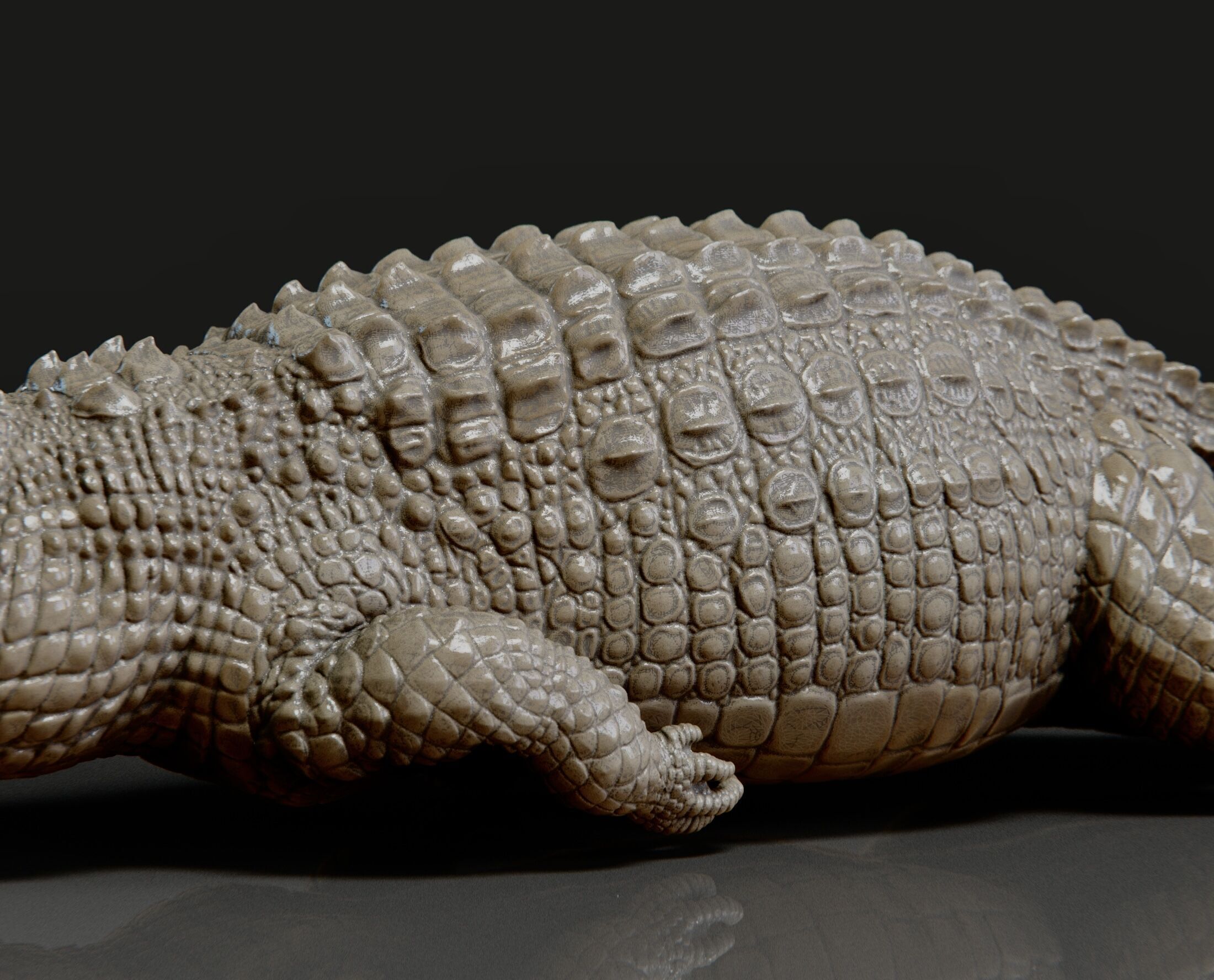 crocodile 3D print model_5
