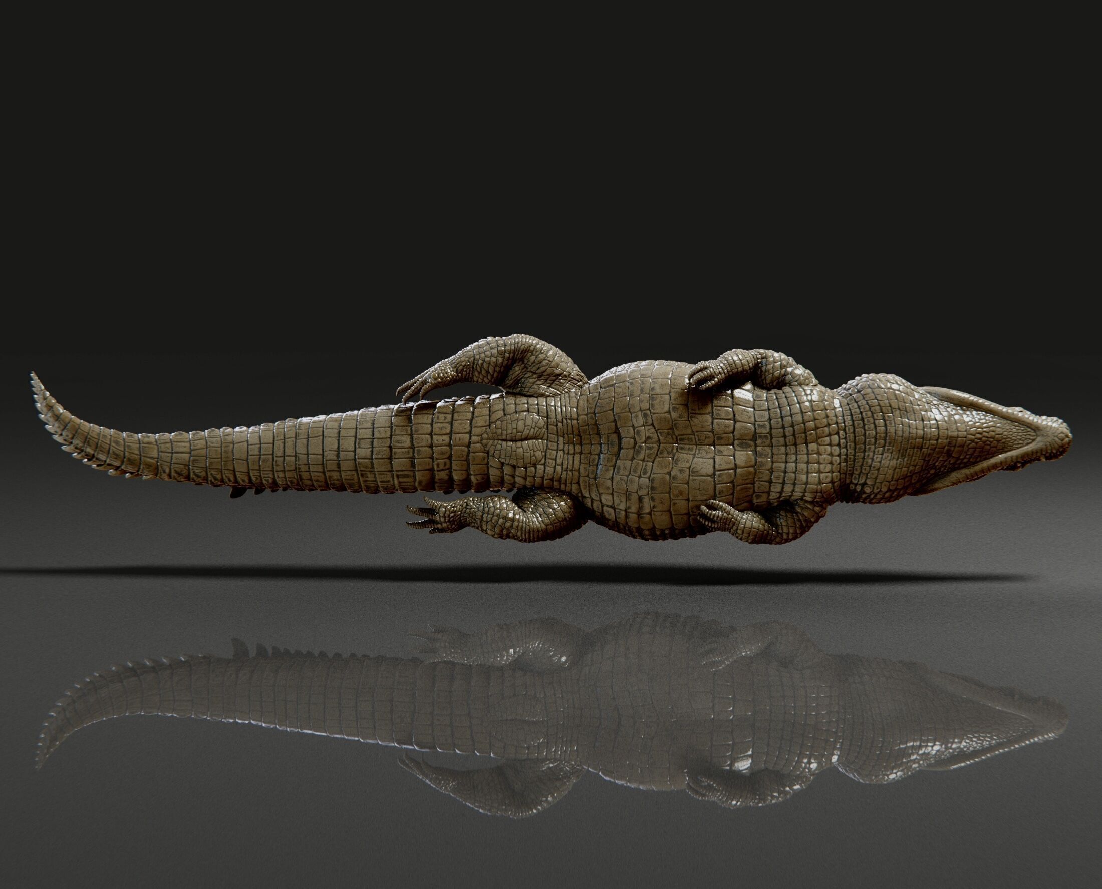 crocodile 3D print model_4