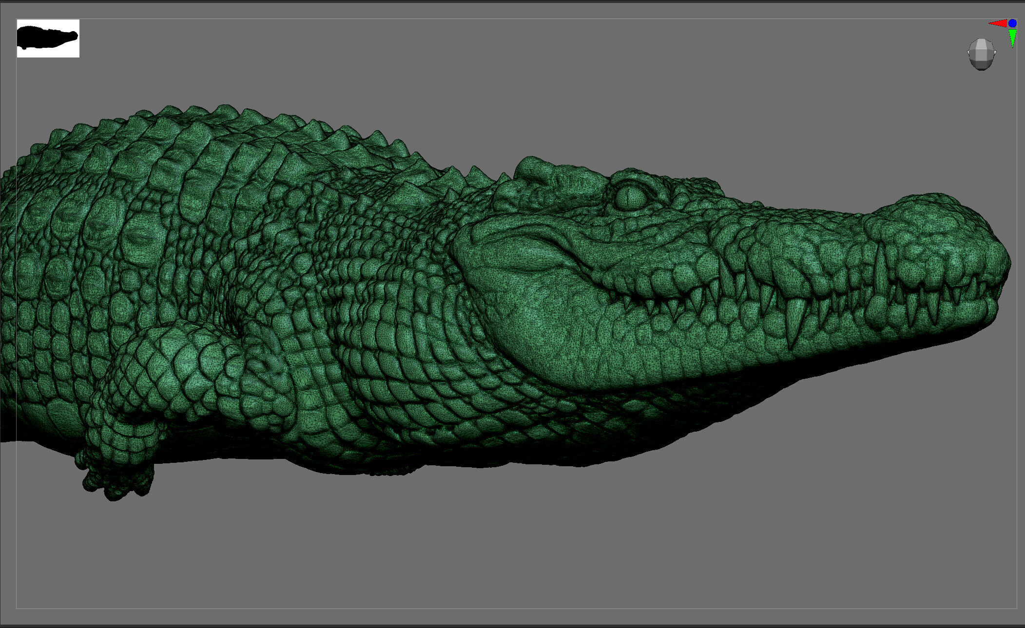 crocodile 3D print model_8