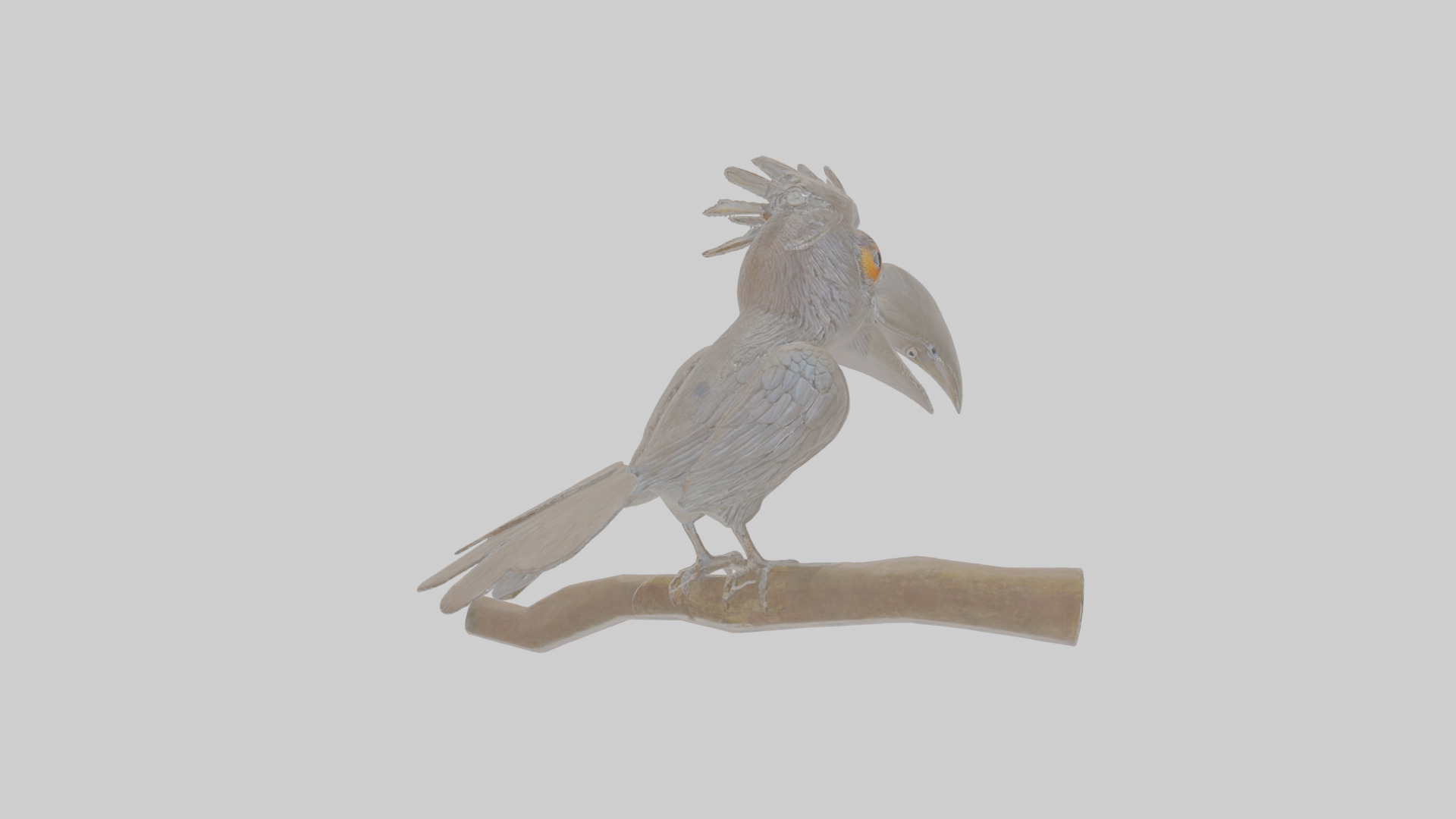 Cartoon Drongo Low-poly 3D model_4