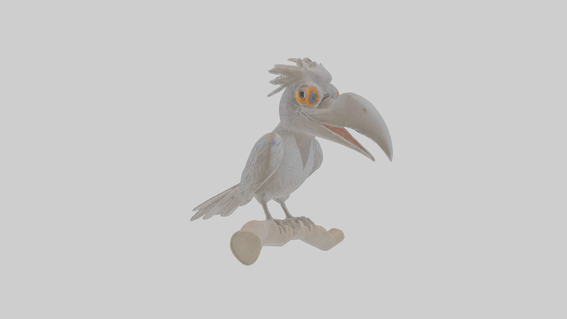 Cartoon Drongo Low-poly 3D model_12