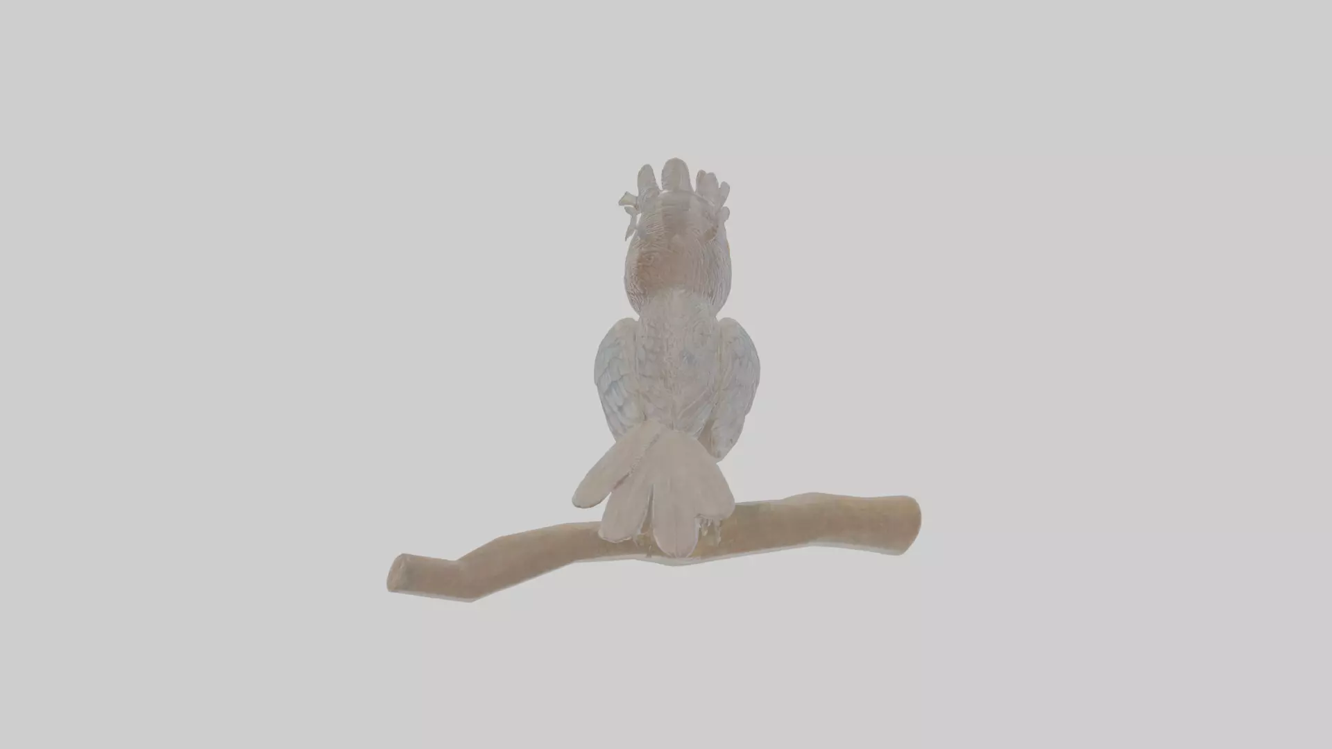 Cartoon Drongo Low-poly 3D model_0