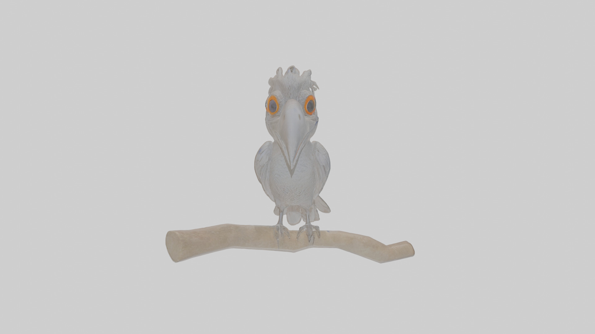 Cartoon Drongo Low-poly 3D model_14