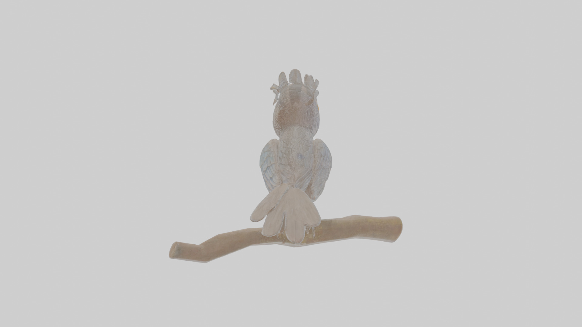 Cartoon Drongo Low-poly 3D model_1