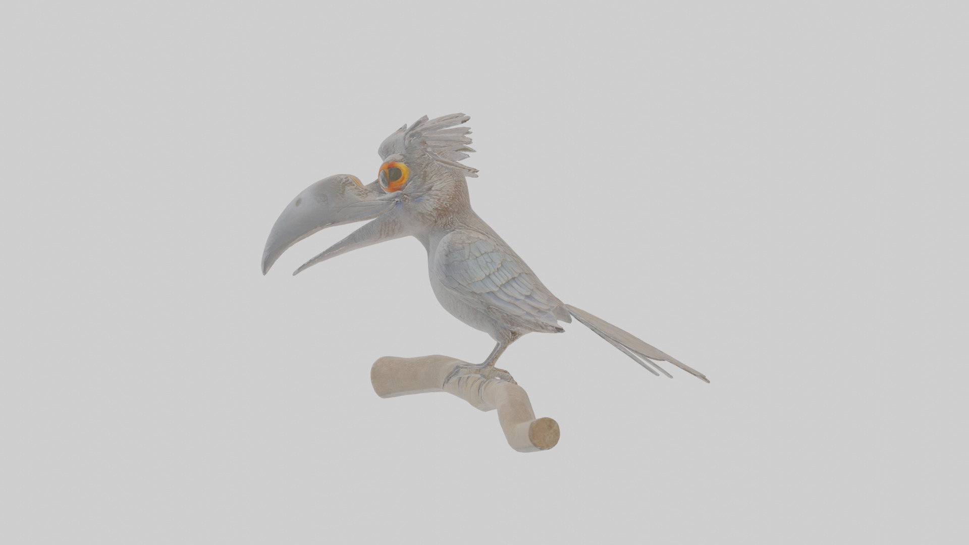 Cartoon Drongo Low-poly 3D model_19