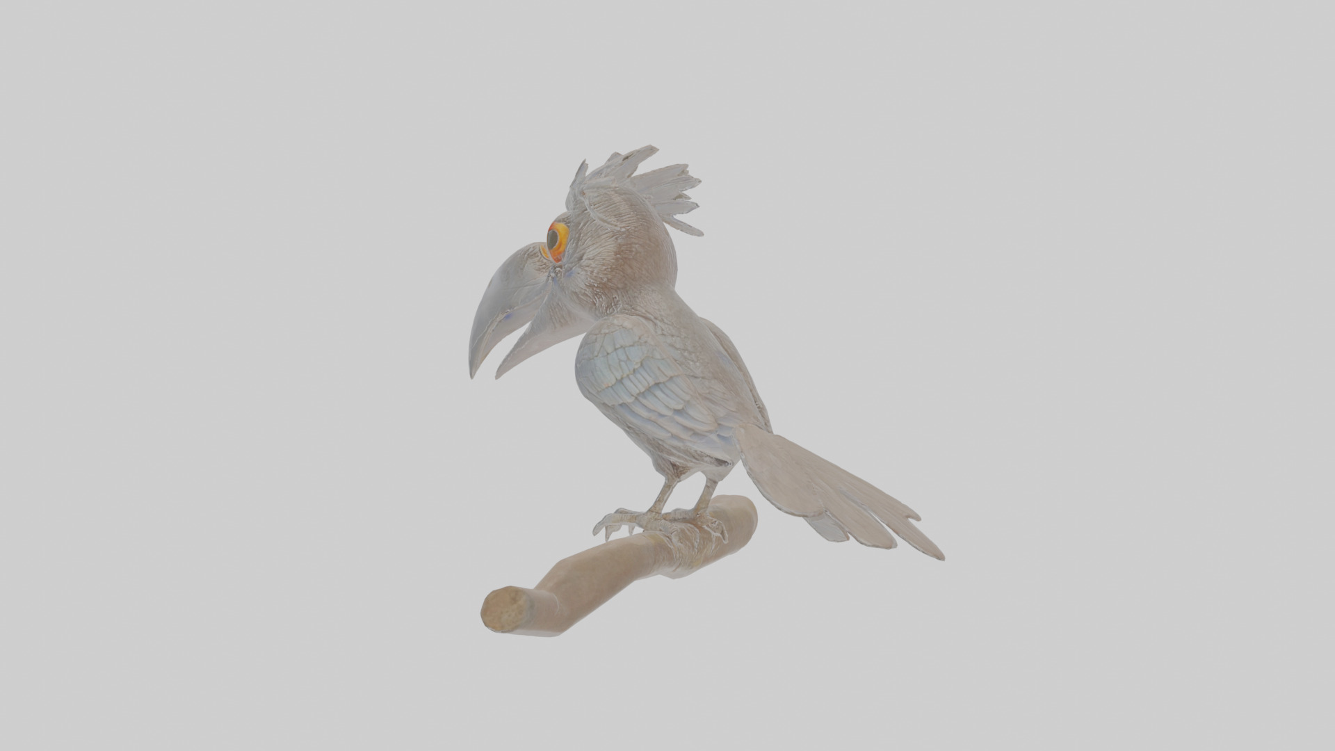 Cartoon Drongo Low-poly 3D model_2
