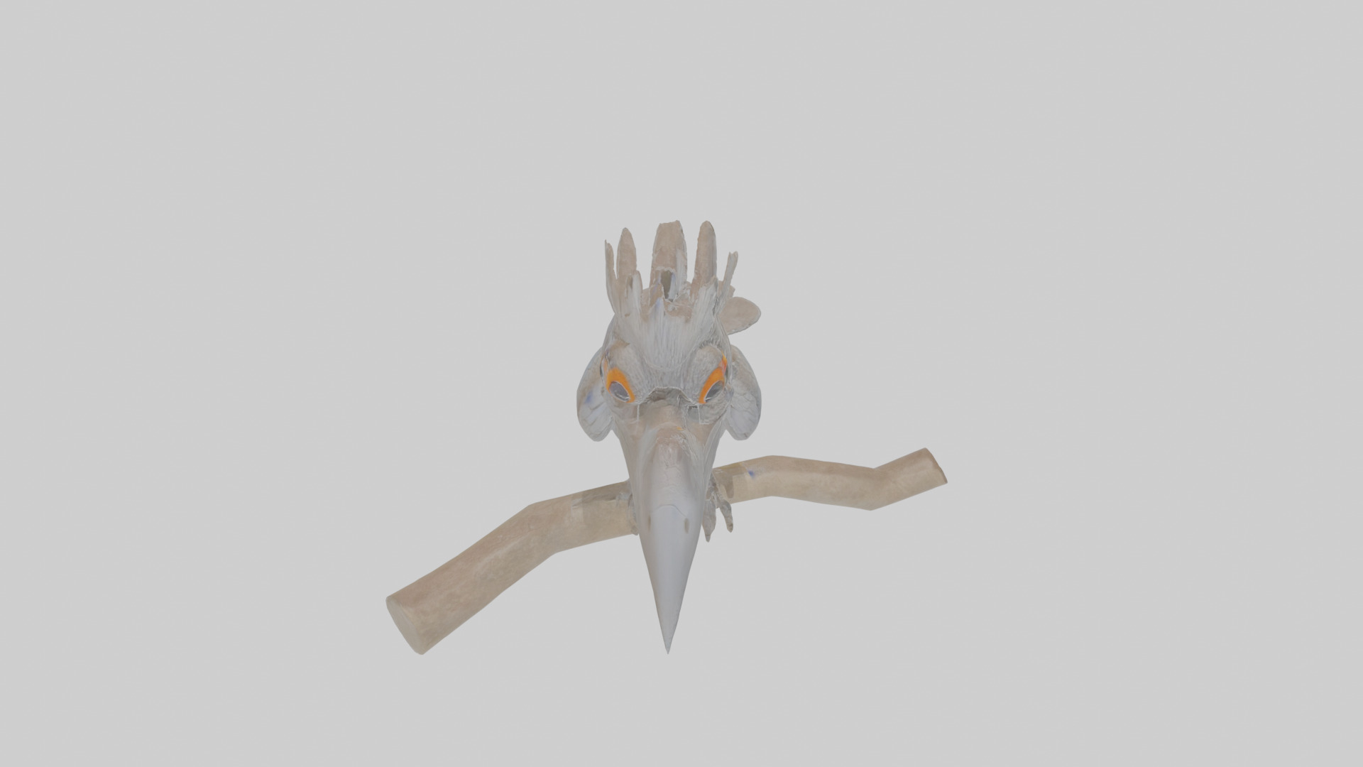 Cartoon Drongo Low-poly 3D model_25