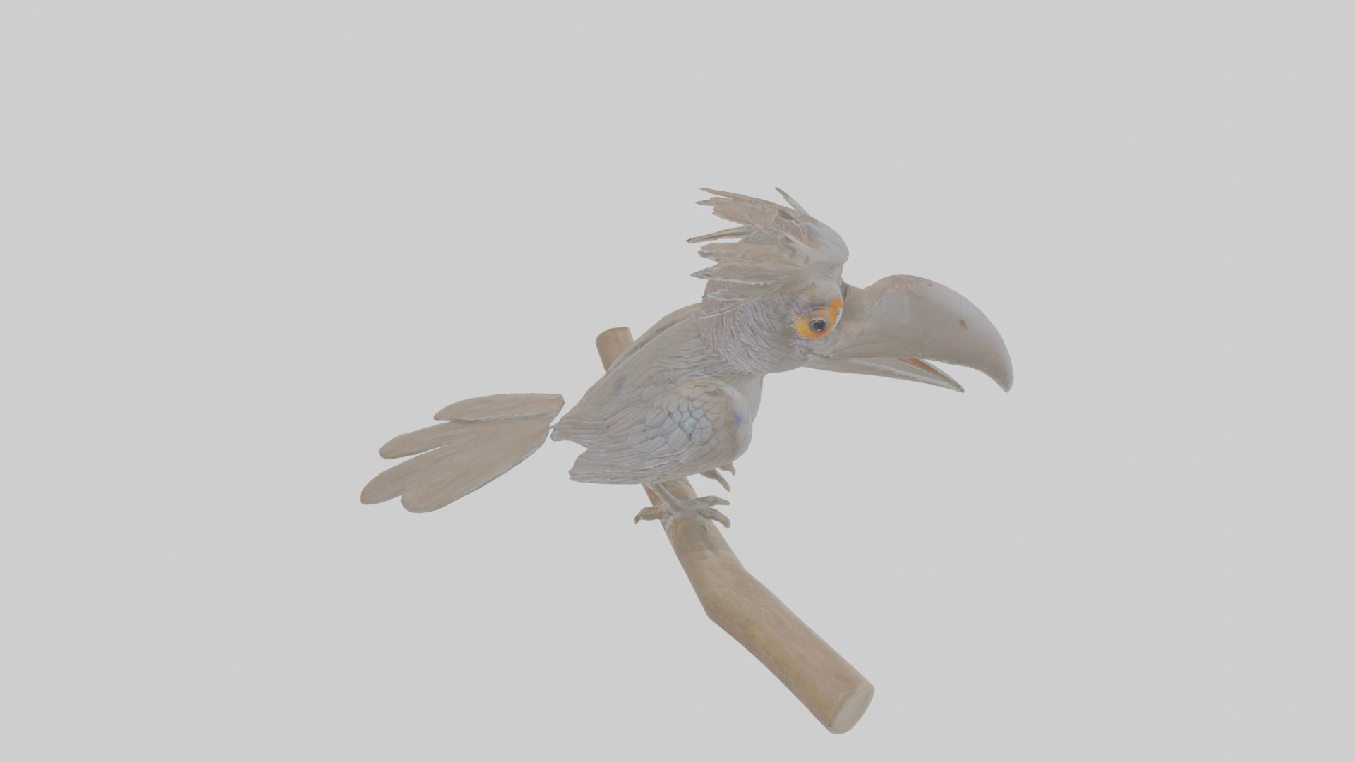 Cartoon Drongo Low-poly 3D model_28
