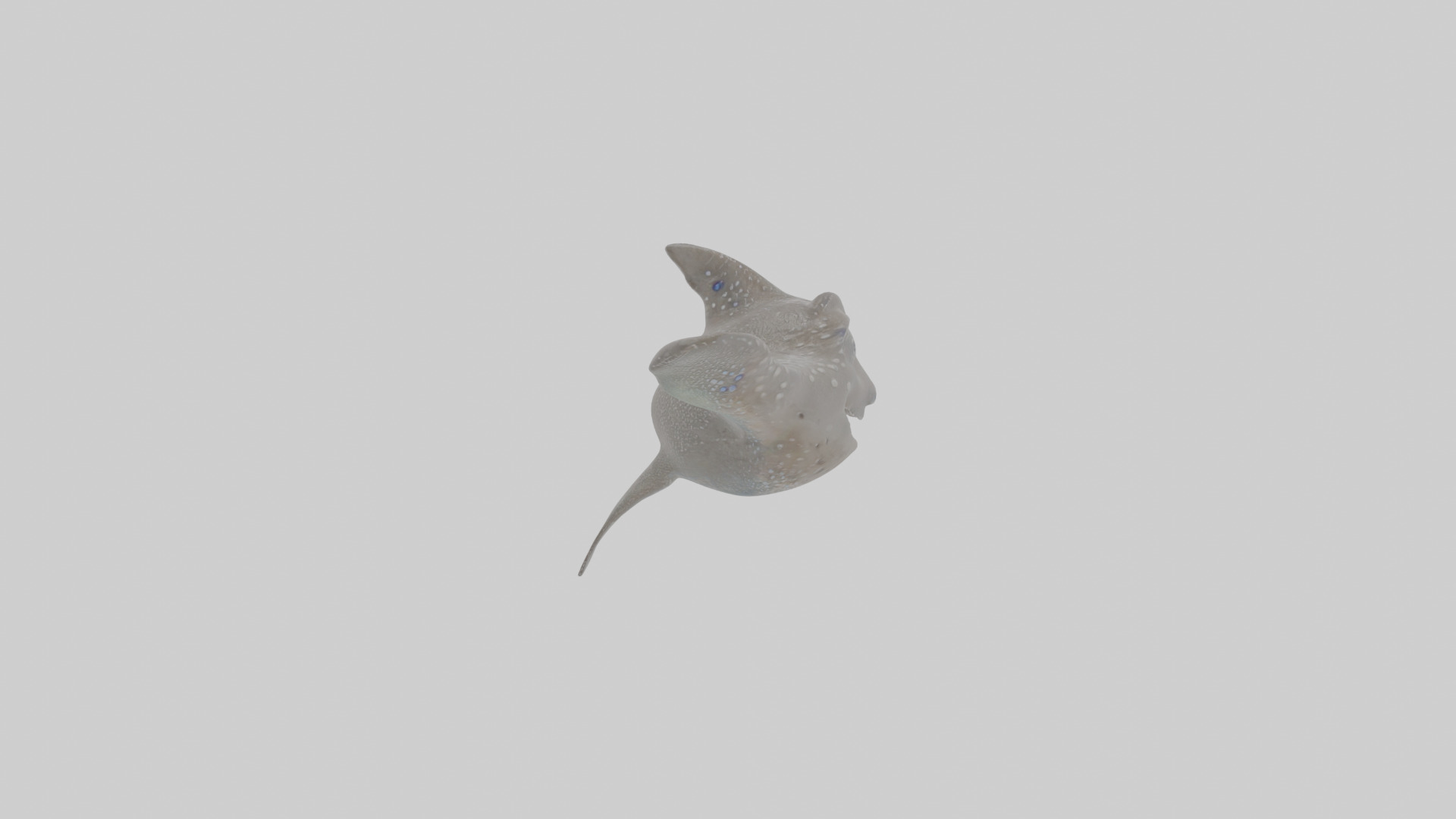 Cartoon Eagle Ray Low-poly 3D model_22