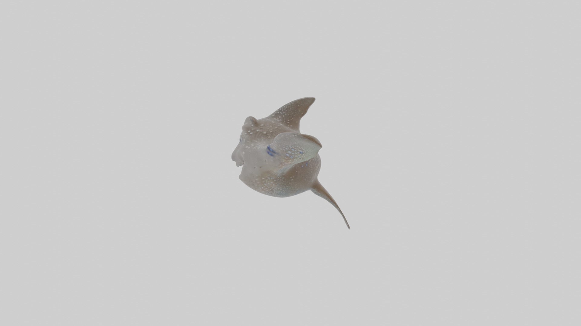 Cartoon Eagle Ray Low-poly 3D model_21