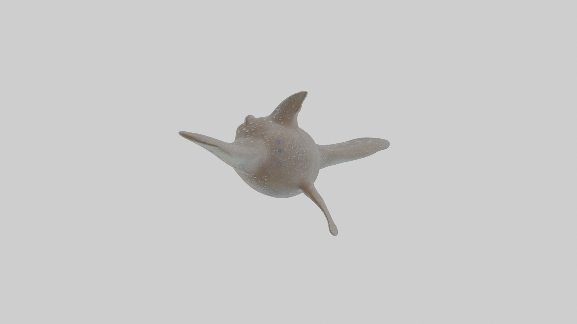 Cartoon Eagle Ray Low-poly 3D model_2