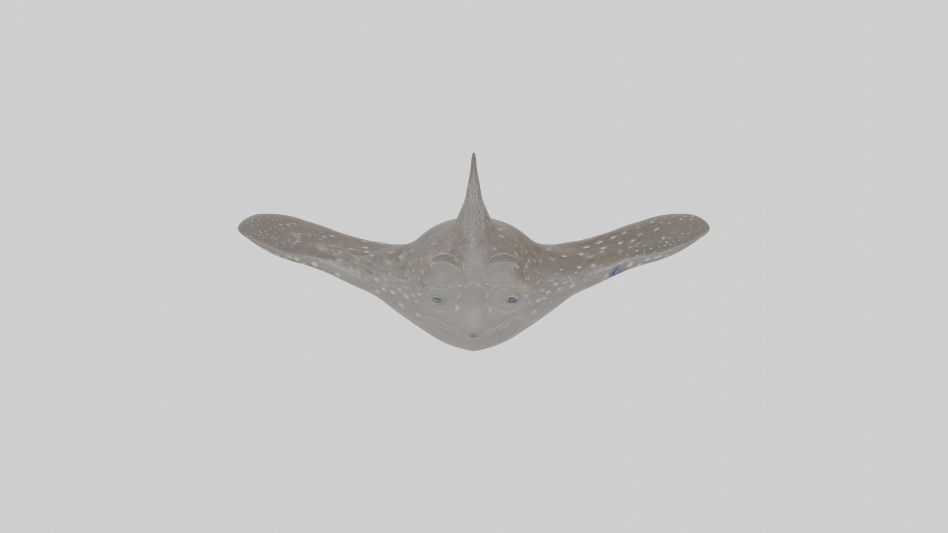 Cartoon Eagle Ray Low-poly 3D model_26