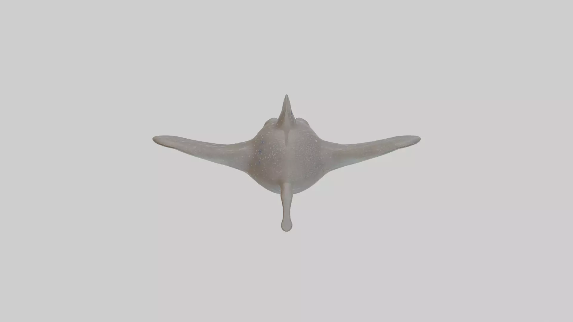 Cartoon Eagle Ray Low-poly 3D model_0