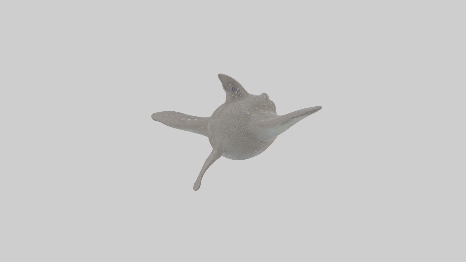 Cartoon Eagle Ray Low-poly 3D model_4