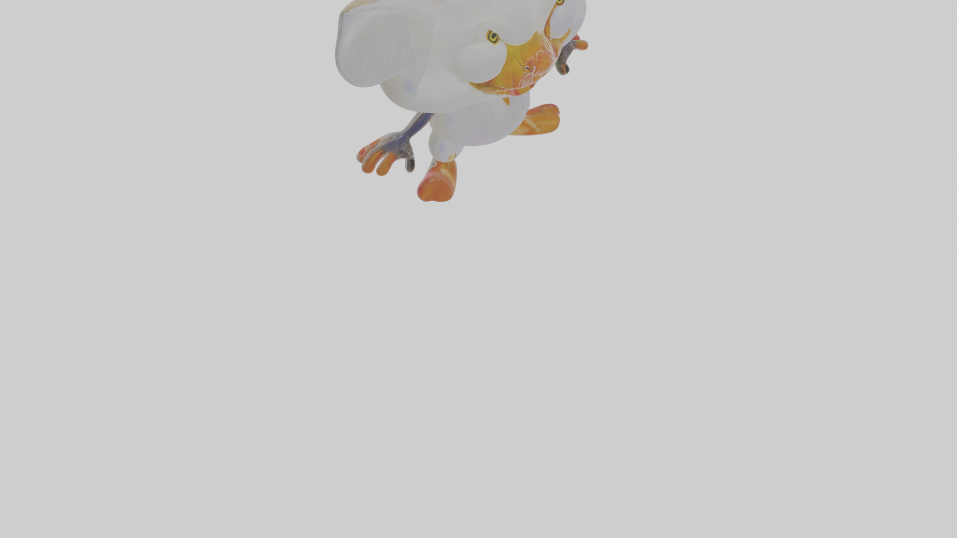 Cartoon Egret Low-poly 3D model_10