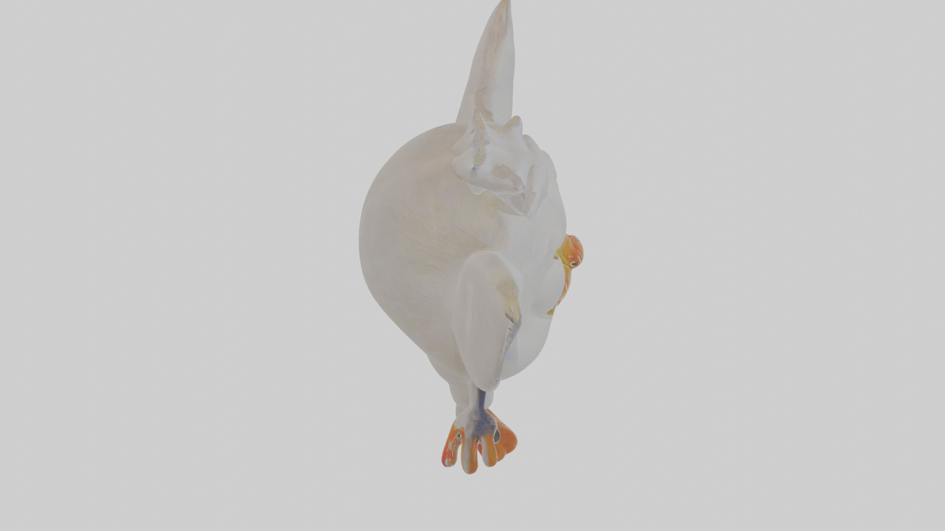 Cartoon Egret Low-poly 3D model_28
