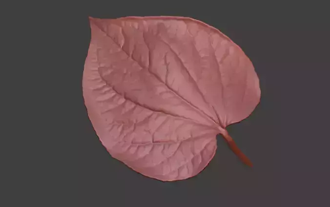 Leaf sculptures exquisite leaf detailed  leaf carvings