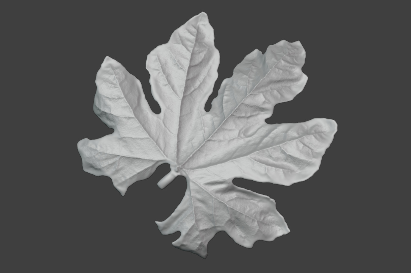 The leaves of bitter gourd vines leaf sculpture models 3D print model_2