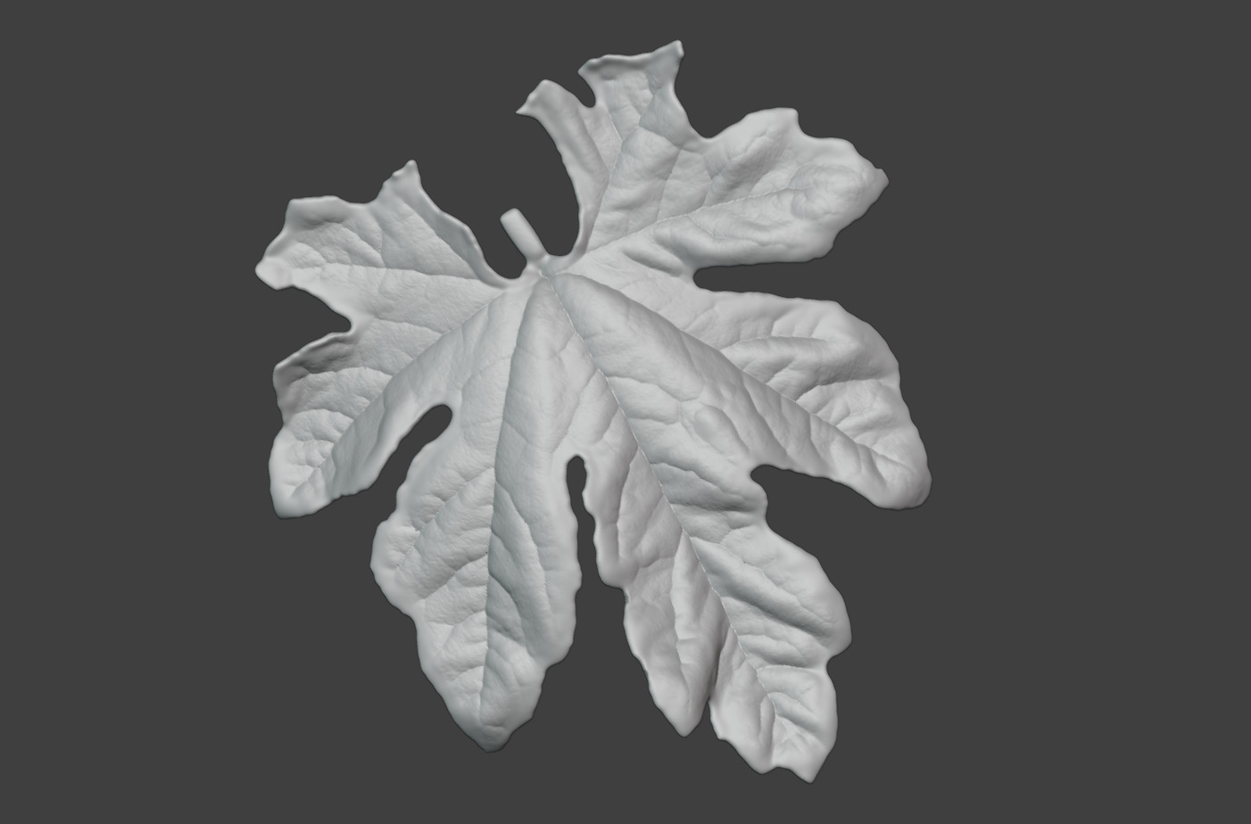 The leaves of bitter gourd vines leaf sculpture models 3D print model_1