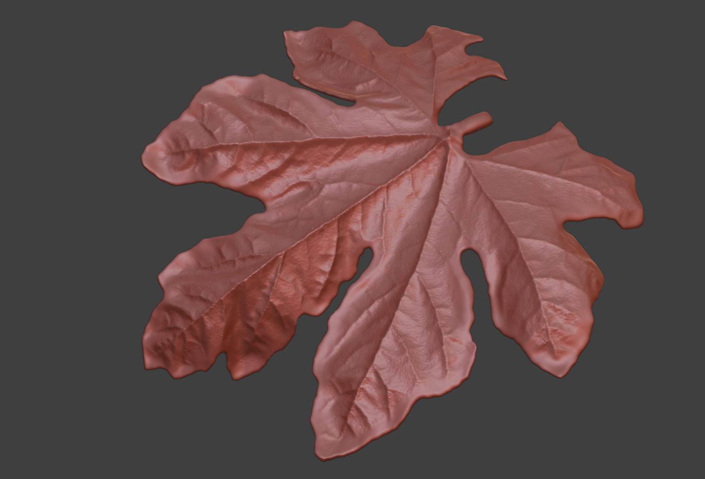 The leaves of bitter gourd vines leaf sculpture models 3D print model_3