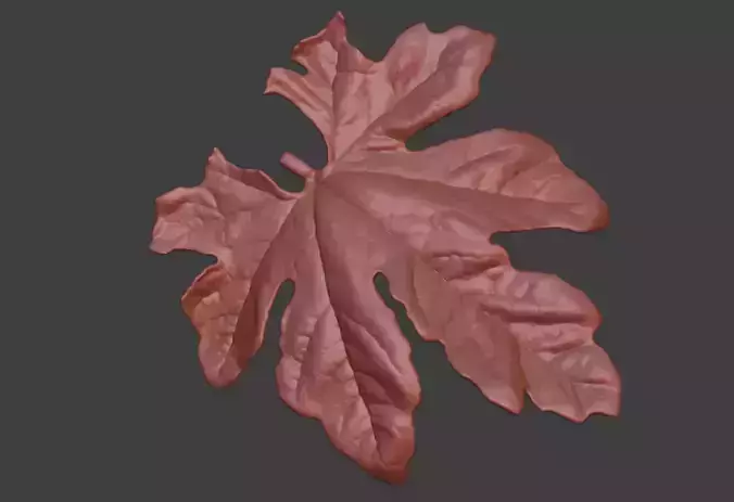 The leaves of bitter gourd vines leaf sculpture models