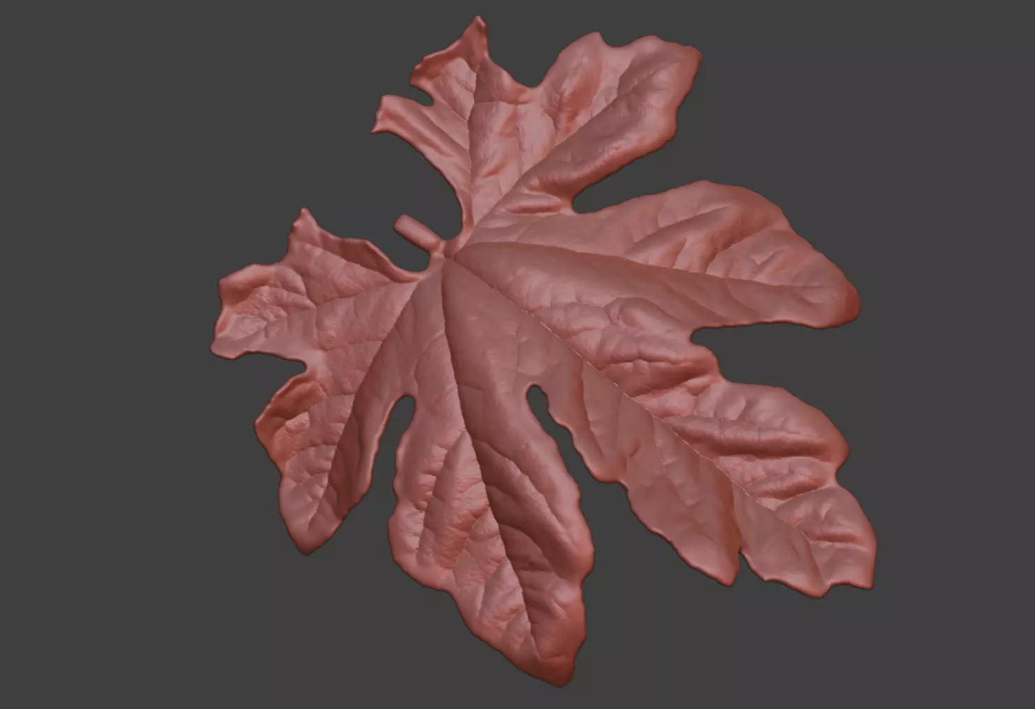 The leaves of bitter gourd vines leaf sculpture models 3D print model_0