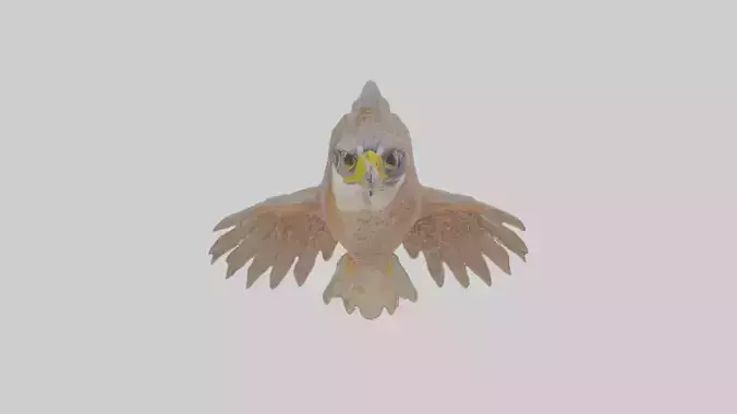 Cartoon Falcon