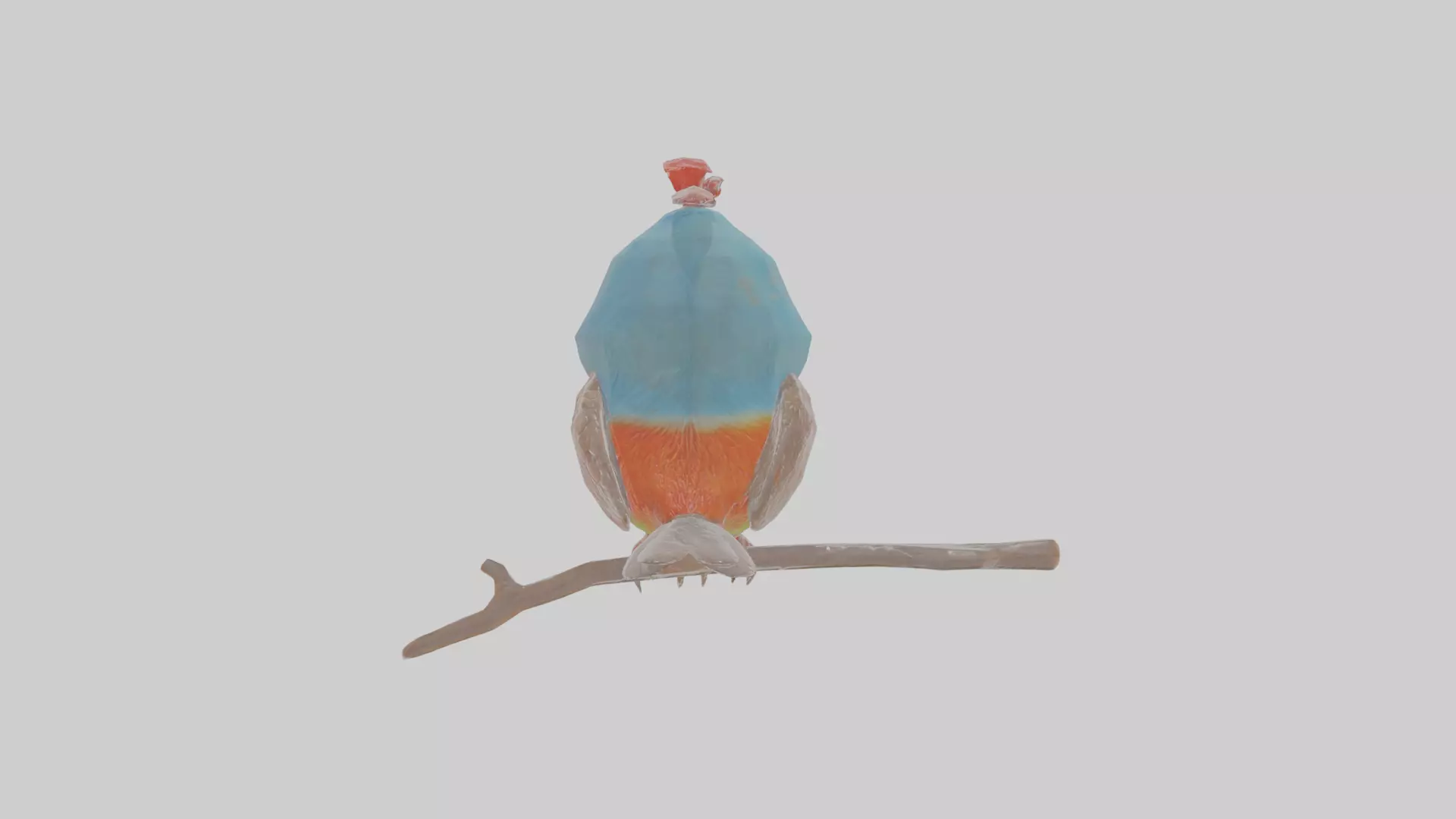 Cartoon Figbird Low-poly 3D model_0