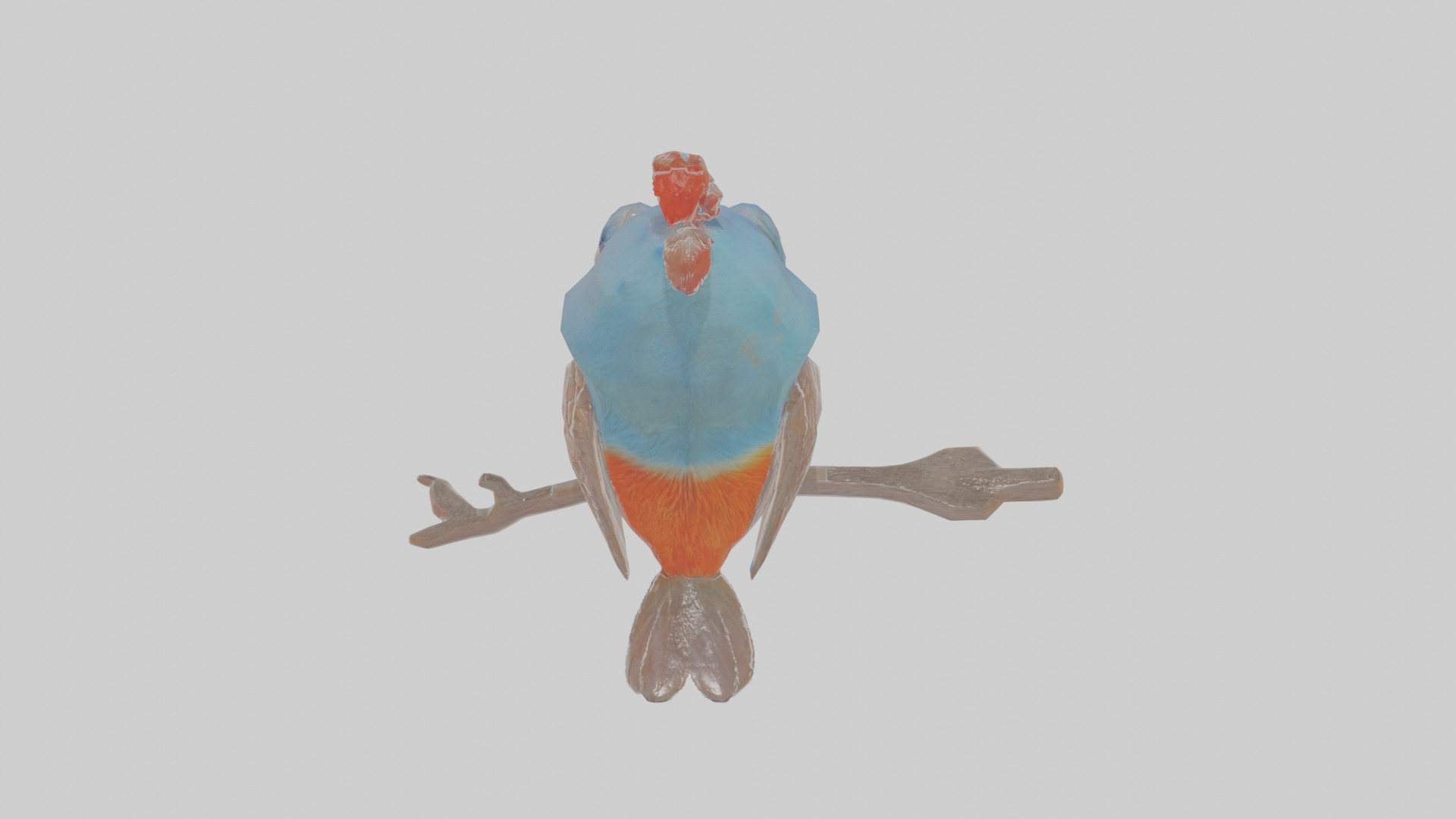 Cartoon Figbird Low-poly 3D model_24