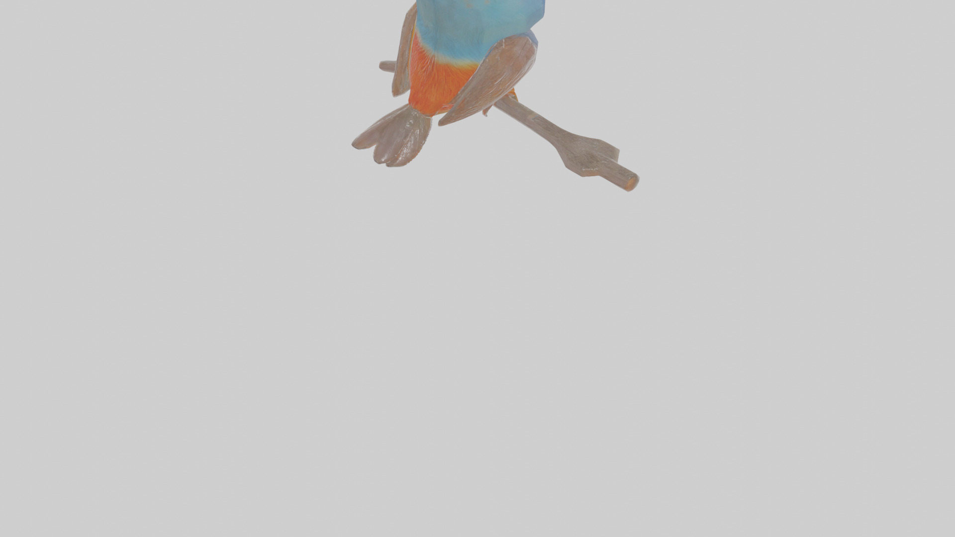 Cartoon Figbird Low-poly 3D model_8