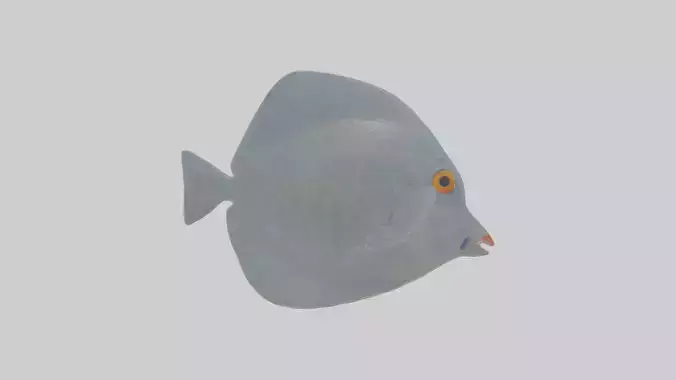 Cartoon Fish