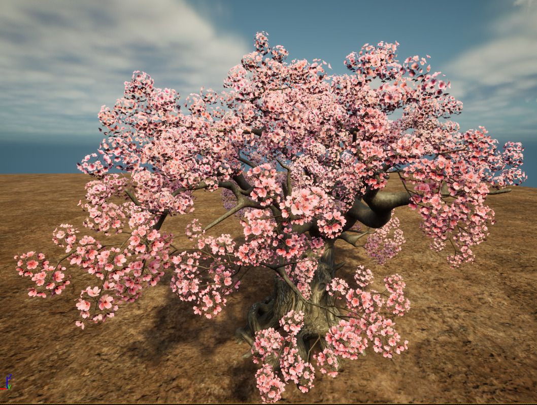 Cherry blossoms 3D model_1