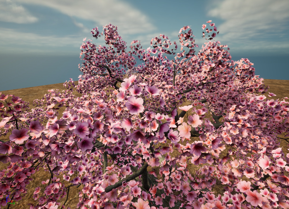 Cherry blossoms 3D model_5