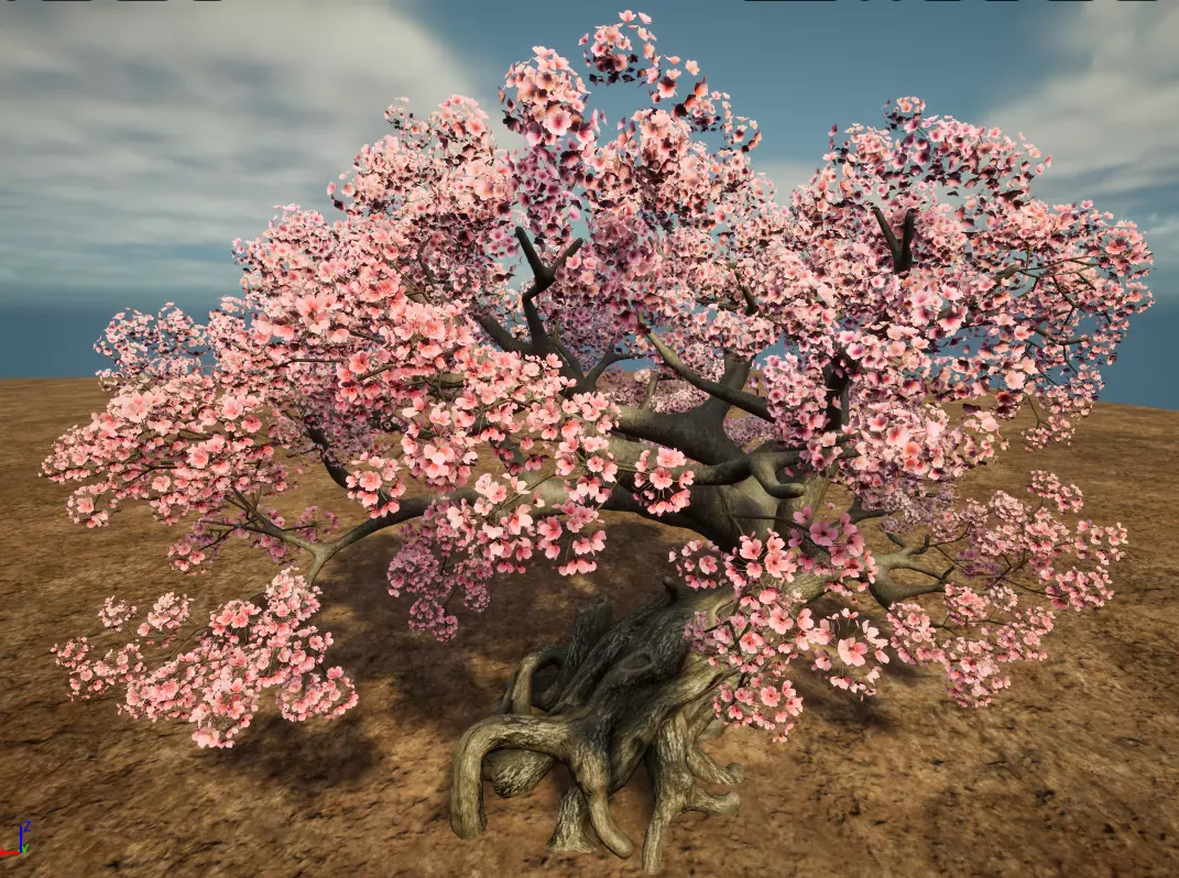 Cherry blossoms 3D model_0