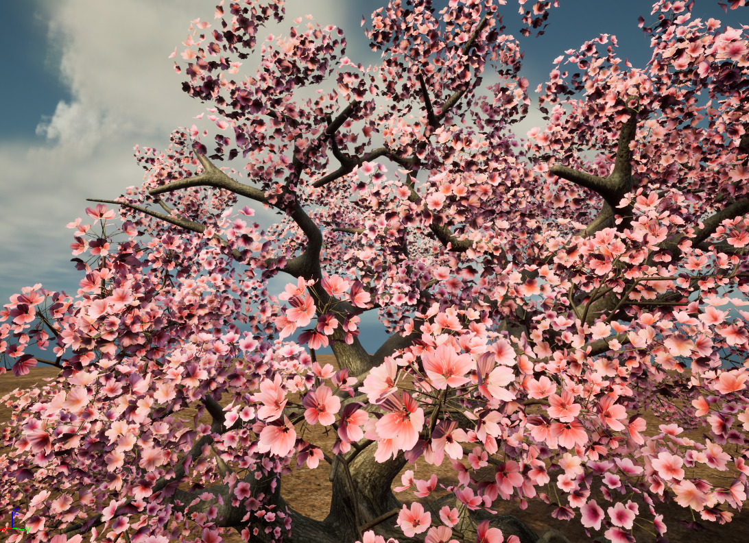 Cherry blossoms 3D model_4