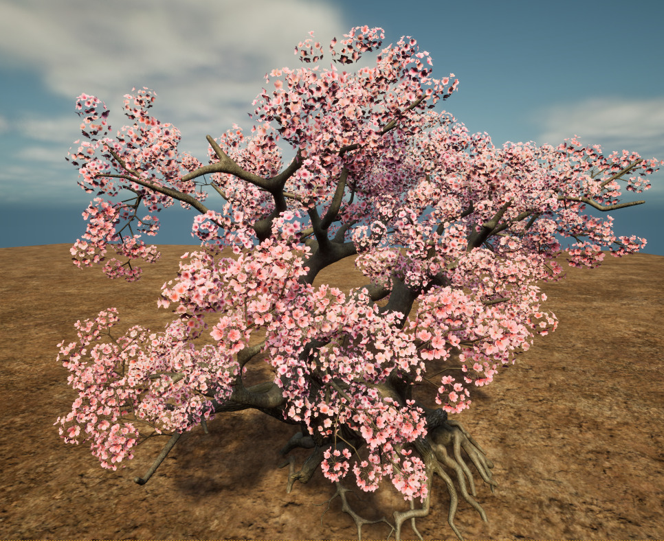 Cherry blossoms 3D model_2