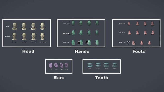 Human Parts Collection Low-poly 3D model 2